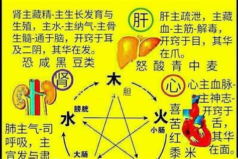 屬火 名字|属火最吉利的五十个字 五行属火性的什么字最好大全